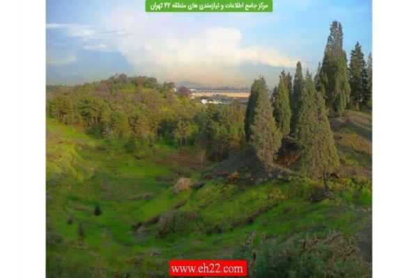 تصویر شماره برگزاری مسابقه درختکاری ویژه اعضای کانون محیط زیست محلات منطقه 22 تهران در هفته منابع طبیعی