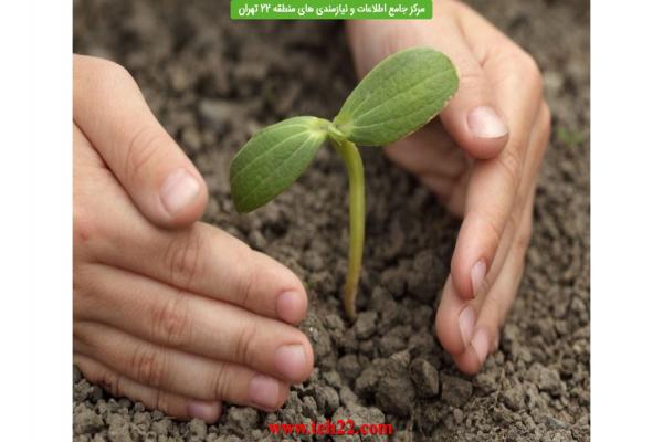 تصویر شماره برگزاری مسابقه درختکاری ویژه اعضای کانون محیط زیست محلات منطقه 22 تهران در هفته منابع طبیعی